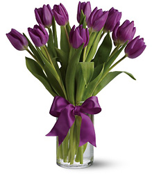Passionate Purple Tulips from Clifford's where roses are our specialty